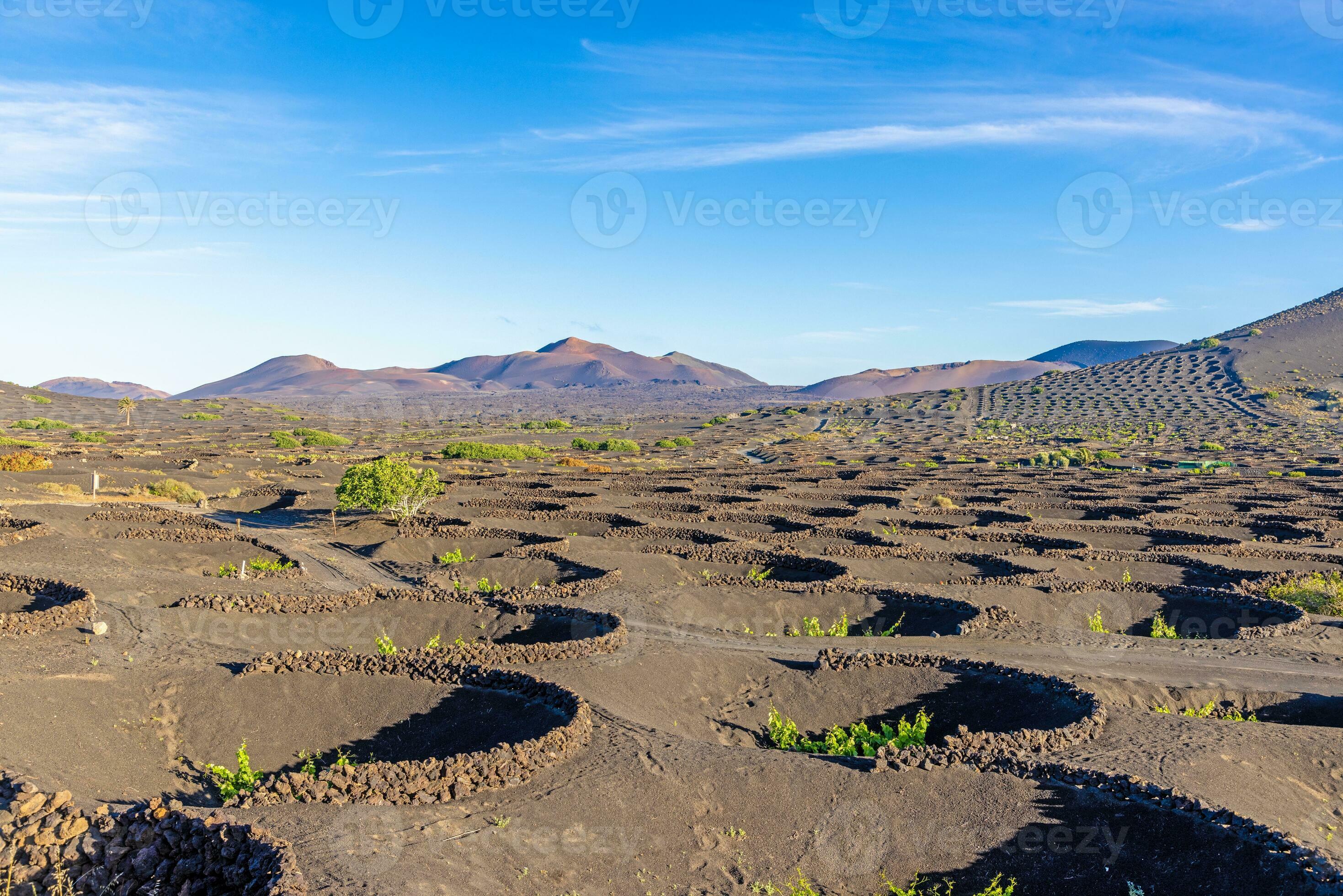 Ort & Umgebung — Lanzarote Bild 1