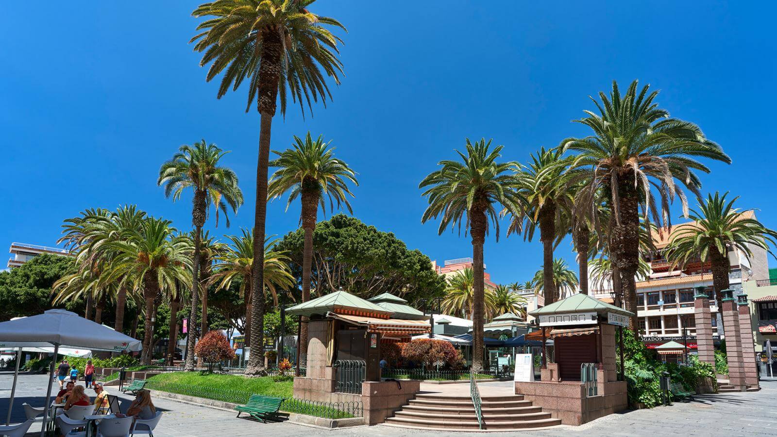 Sprachschule in Puerto de la Cruz
