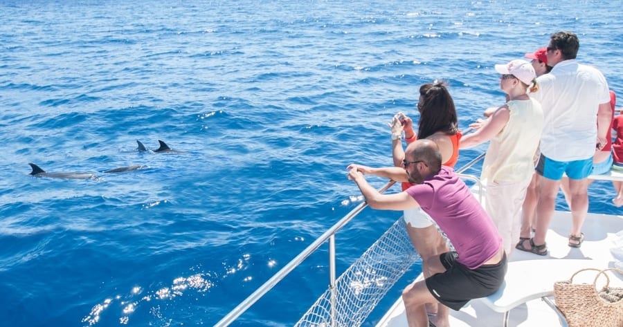 Freizeit & Ausflüge — Puerto de la Cruz Bild 1
